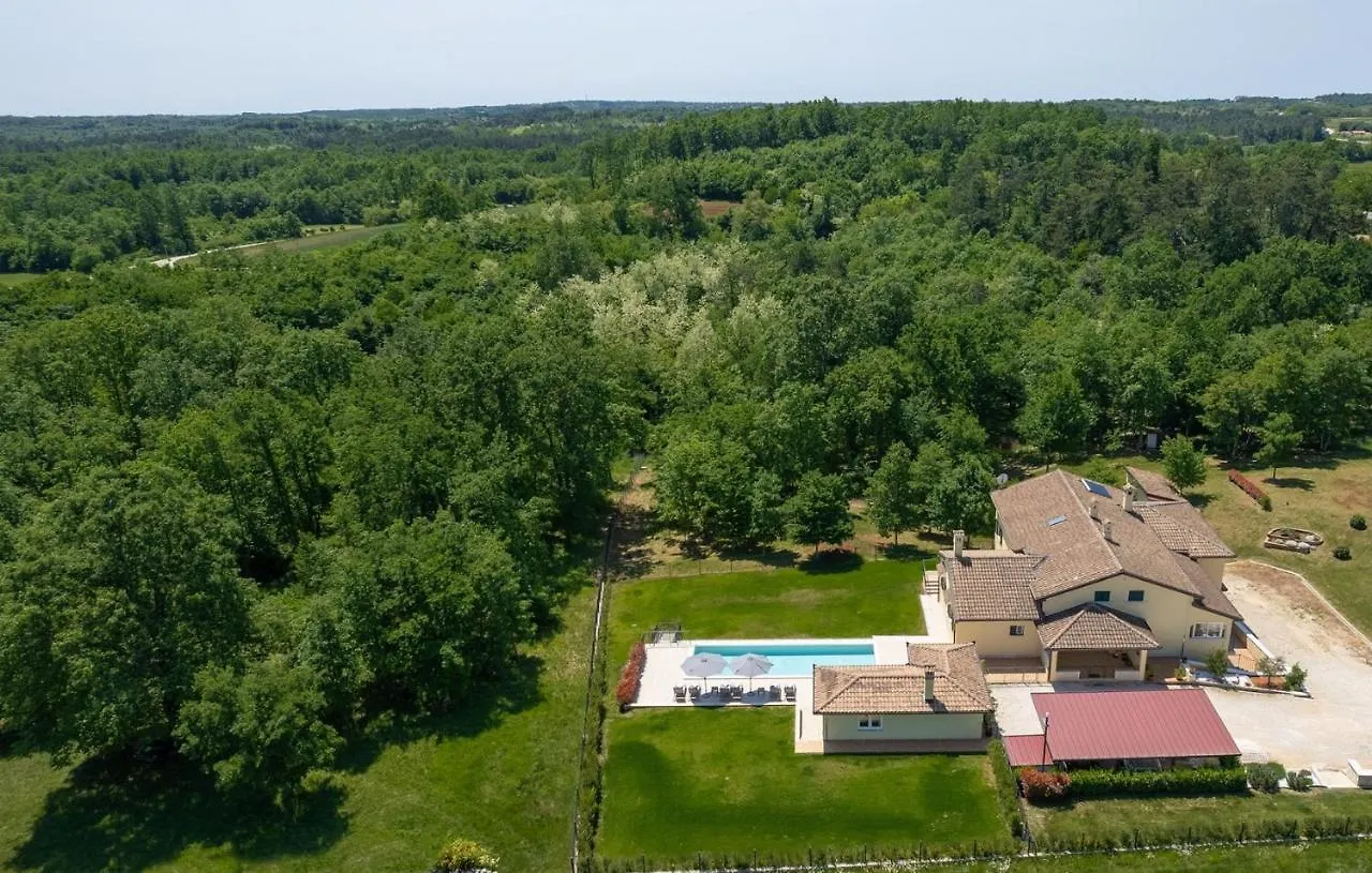 Holiday House Mateo With Private Pool Stari Pazin Holiday home
